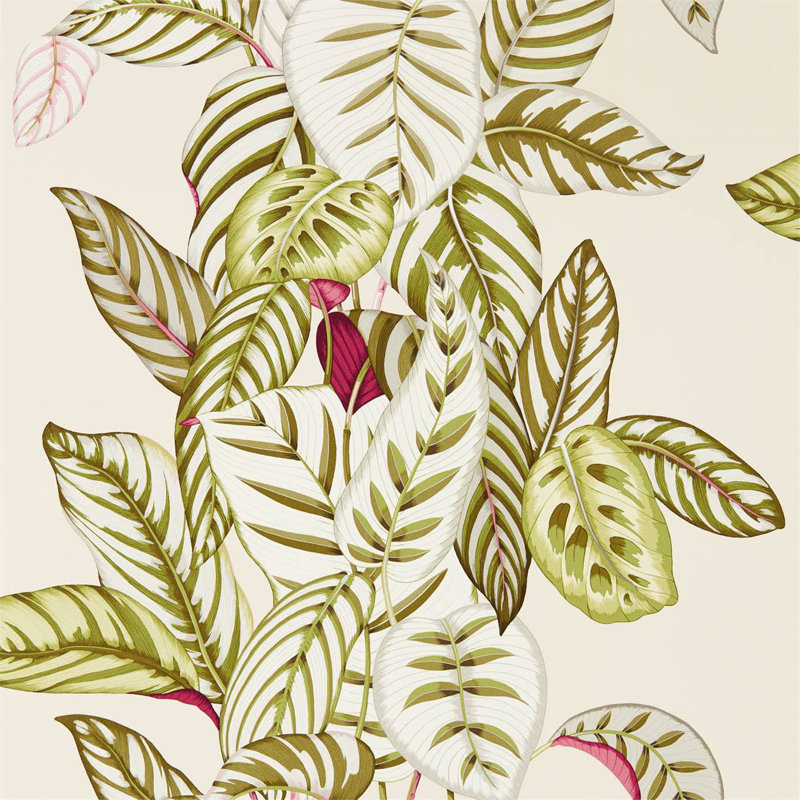 Calathea Wallpaper, Olive