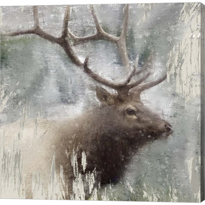 Landscape & Nature Wall Decor on Canvas