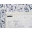 Tapis carré noué à la main 12 pi x 12 pi gris argenté en laine et soie pure 12 pi x 12 pi Sh63467