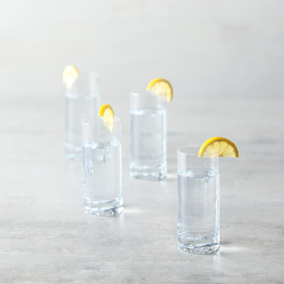 10.6oz. Crystal Stemless Wine Glass Set