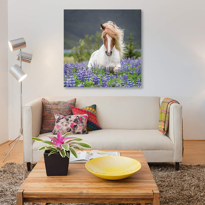 Trotting Icelandic Horse II, Lupine Fields, Iceland by Panoramic Images - Print on Canvas, Wrapped Canvas