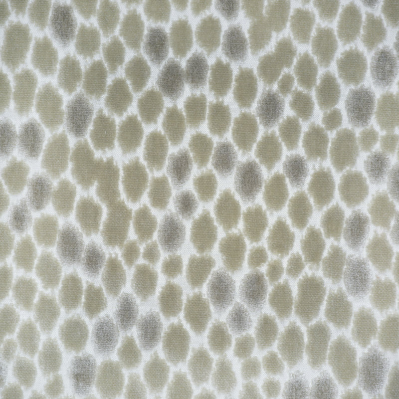 Jasmine Fabric, Dove