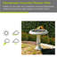 Bain d'oiseaux Almaden-903373621