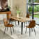 Shivani 5-Piece Modern Dining Set With Rectangular Wood Grain Table And 4 Upholstered Dining Chairs