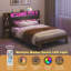 Storage Bed with  LED Lights and Charging Station