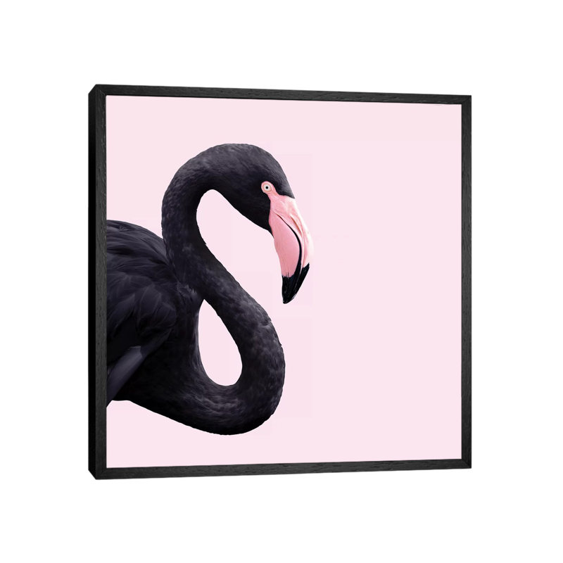 Black Flamingo by Paul Fuentes - Print on Canvas, Black Framed, 93.98 cm H x 93.98 cm W