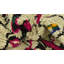 Tapis ivoire Julian