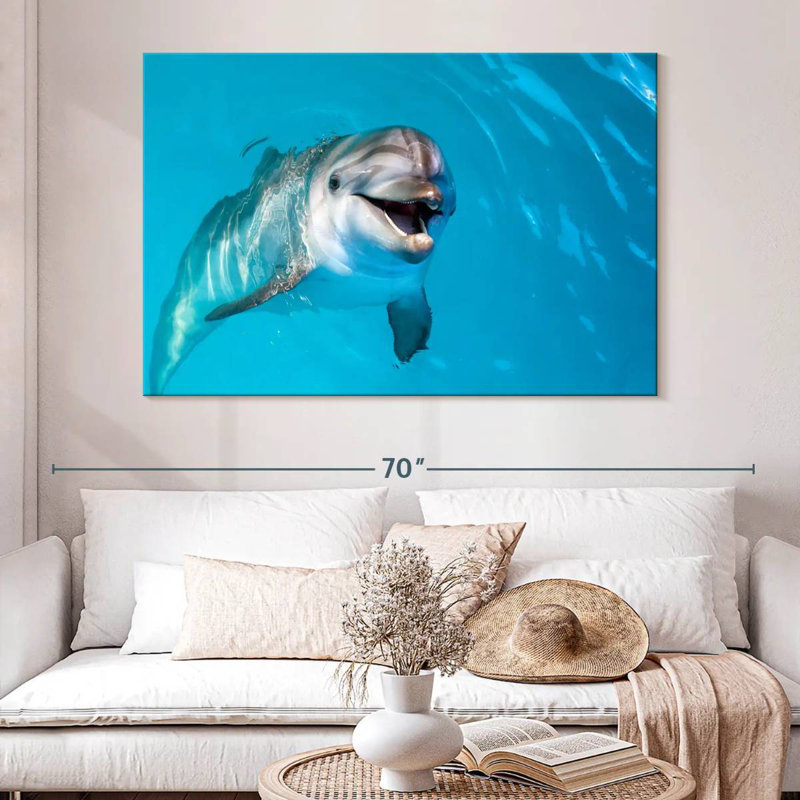Brampt Dolphin's Smile