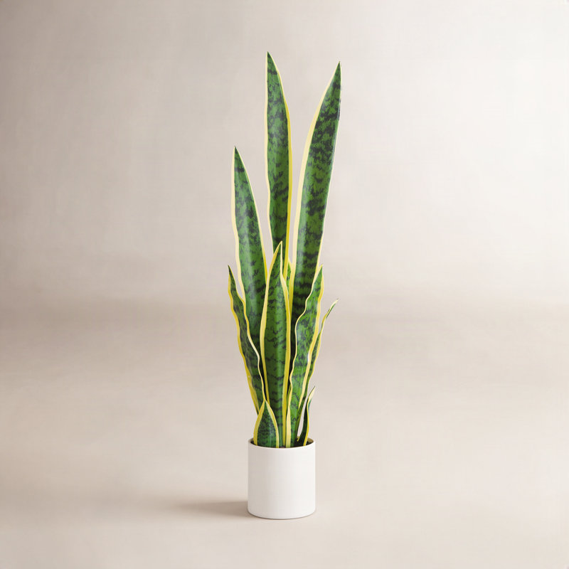 30 po Plante artificielle Sansevieria
