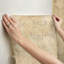 Papier peint adhésif Game of Thrones