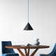 Johnston Single Light Metal Dimmable LED Pendant