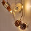 Holiday Lighting