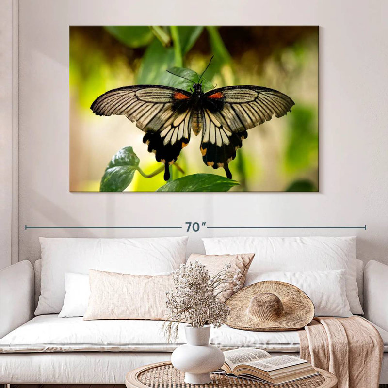 Monarch Butterfly, 34" H x 51" W