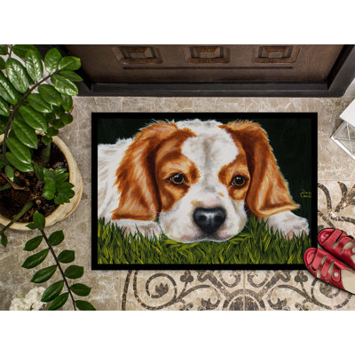 Non-Slip Outdoor Doormat