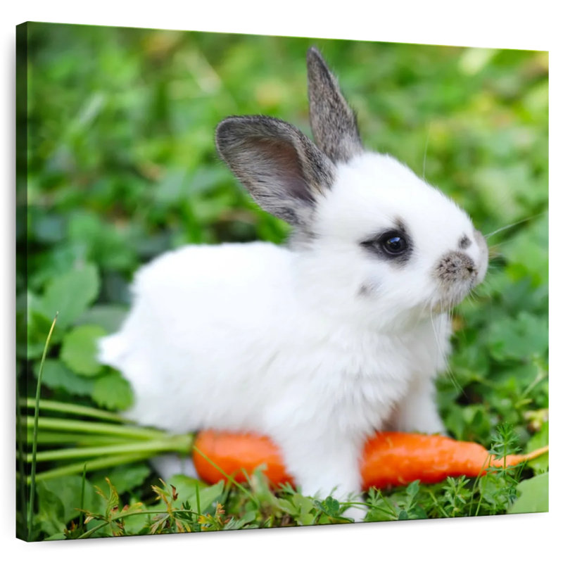 Crowle Baby Rabbit With Carrot, 39" H x 39" W