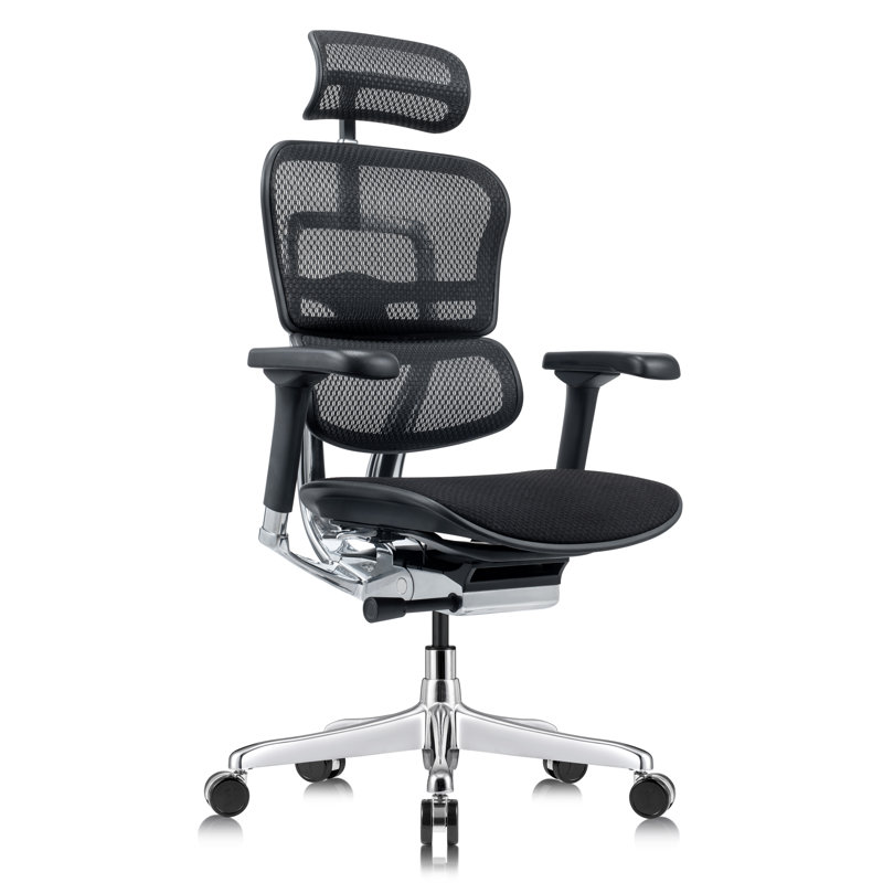Fauteuil de bureau ergonomique Tempur-Pedic Ergohuman Gen2, Noir