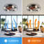 Industrial Style 20 Inch Ceiling Fan With Matte Black 6 Speed Wind E26 Remote Control Reversible DC Motor For Bedroom