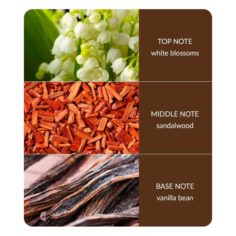 Bamboo Everyday Plant / Floral Scented Wax Melt