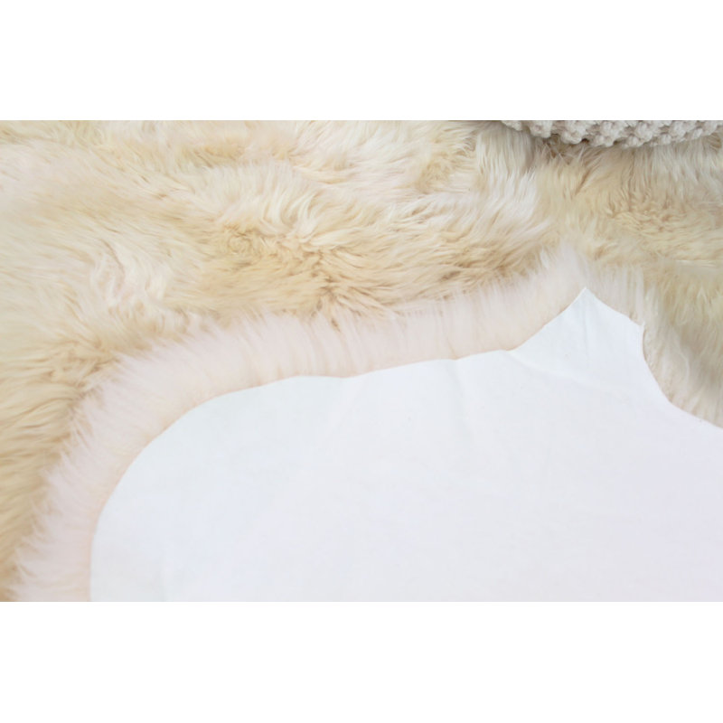 Fraley Sheepskin Indoor Rug, Novelty 4' x 6'