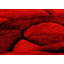 Tadeo Floral Area Rug-27616200