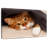 Crowle Cozy Cat-111823042