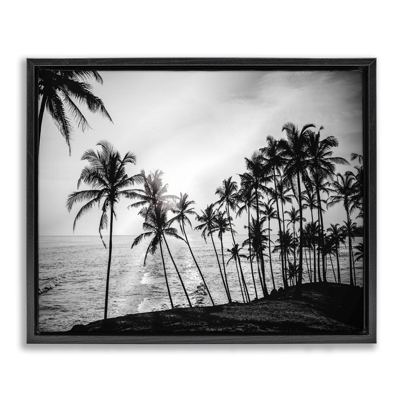 Cadre flottant soleil couchant San Diego, design par Susan Jill, H 25 po x l 31 po, Cadre flottant noir de jais