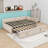 Full Upholstered Daybed with Trundle-1939705345
