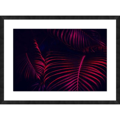 Night Tropics 1