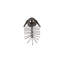 Trilobites Wall Décor, Metal