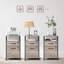 42cm Wide 2 -Drawer Mobile File Cabinet