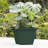 Dayton Traditional Recycled Square Indoor/Outdoor Deck Box Planter-54645163