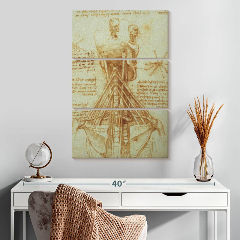 Anatomie du cou Keiri, H 32 po x l 20 po