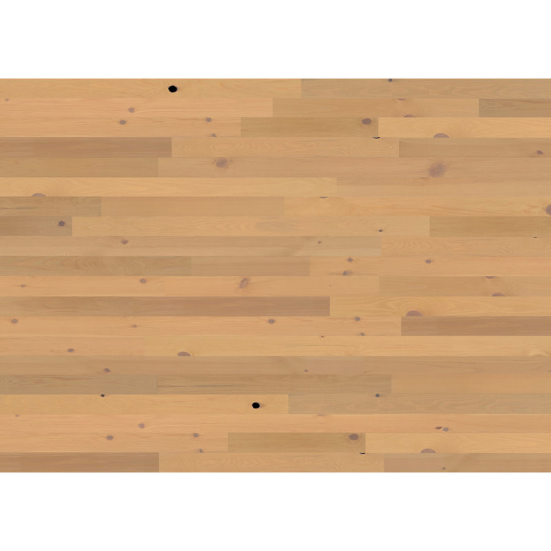 Planches murales en bois Timberchic Pine, Brun clair