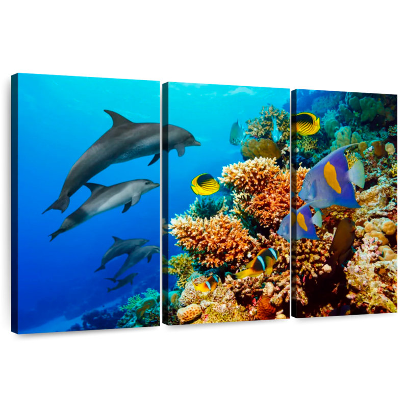 Brampt Reef Sea Life, 36" H x 57" W