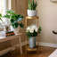 Support pour plante d'intérieur en métal à 2 niveaux pour plantes d'intérieur-326173400