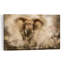 Majestic Elephant Charge Dramatic Contemporary Elephant Nature Wildlife Wall Art Print 1 Piece Wrapped Canvas Wall Art-108089302