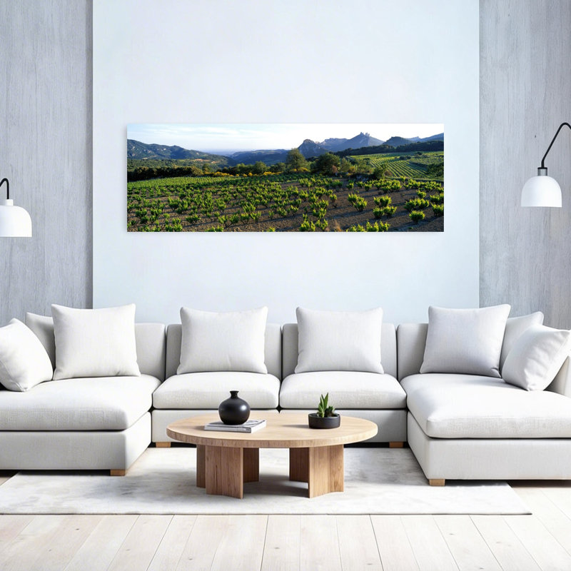 «Vineyard Dentelles De Montmirail», art contemporain contemporain, H 20 po x l 60 po