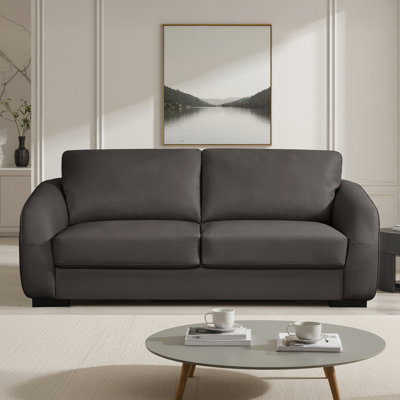Aleyha Compact Leather Sofa