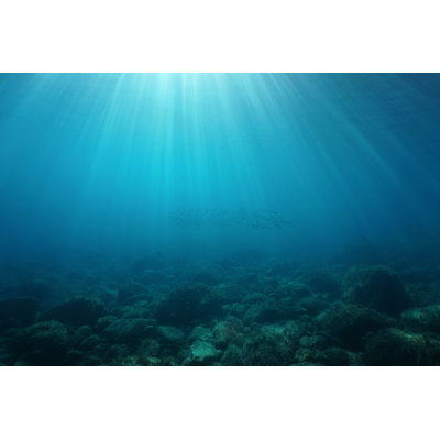 " Natural Sunbeams Underwater "