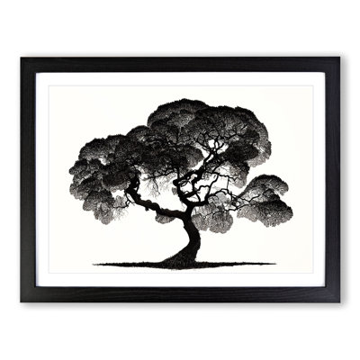 Entrancing Tree - Single Picture Frame Print