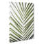 Plat Leaf - Wrapped Canvas-56664561