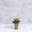 Pot à fleurs avec égouttoir Sewstone Artstone-1328659550-1328659523