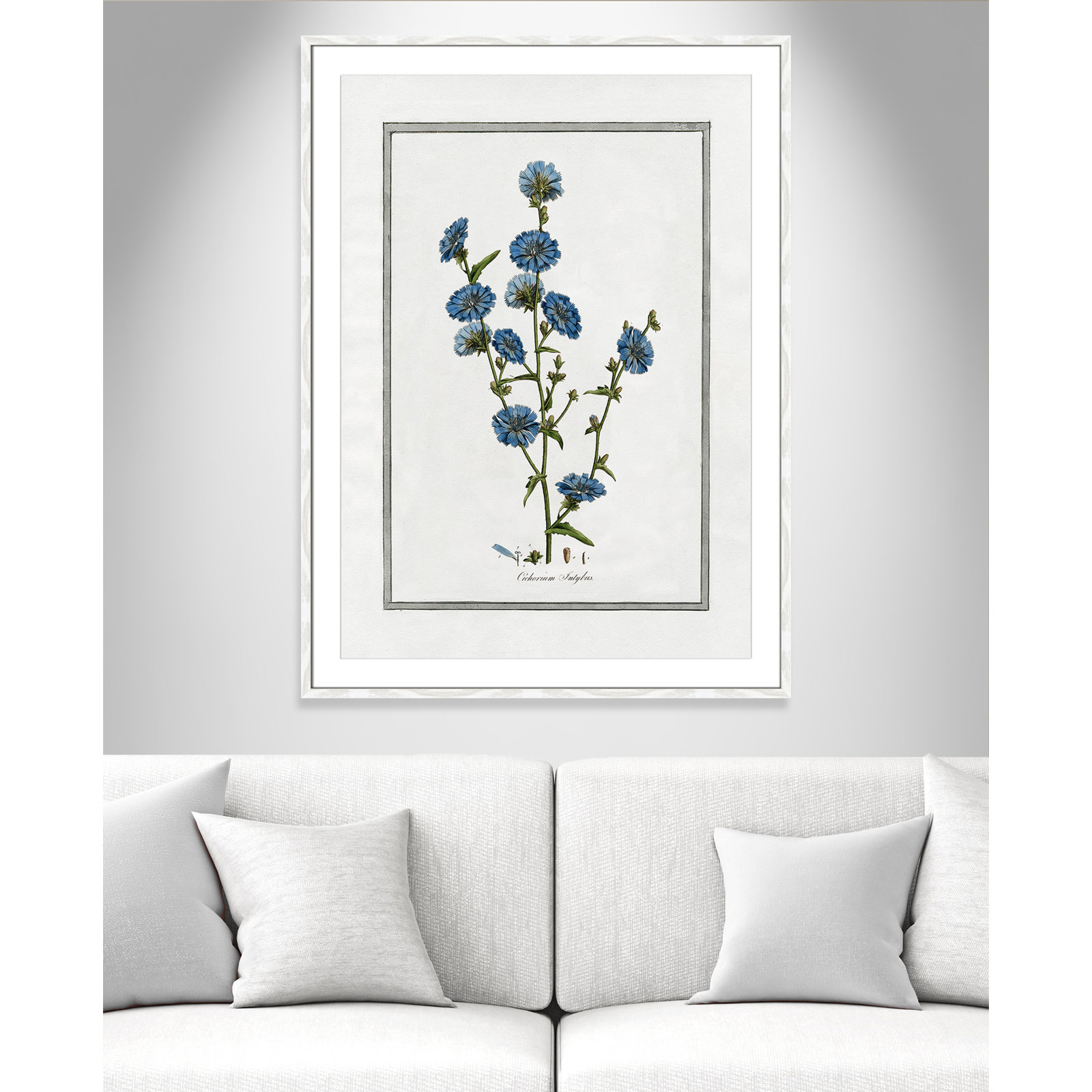 Colombe "Soft Botanical I" Print, 29.5" W x 41.5" H, White Framed