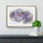 Purple Crocus Flower Sketch - Picture Frame Graphic Art Print-56875356-56875359