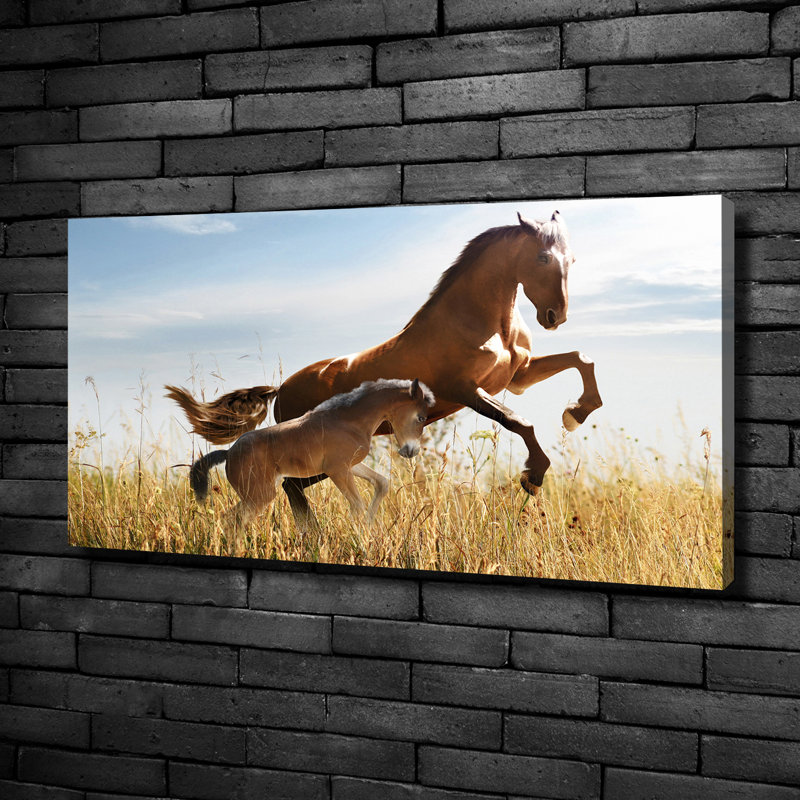 Mare With Foal - Wrapped Canvas Print