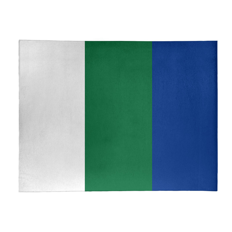 Chenille Indoor Rug, Rectangle 8' x 10'