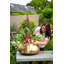 Pelaez Metal Pot Planter-1432508292
