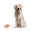 Figurine Marmalade Tabby