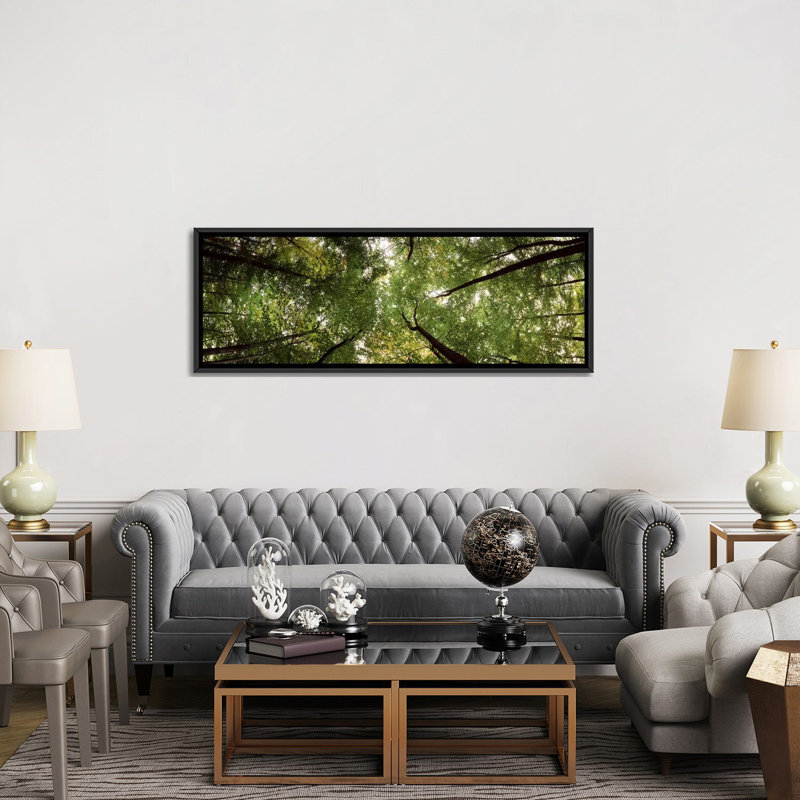 Vue basse d’un arbre, bavière, allemagne #2 par panoramic images-reproduction sur toile tendue, H 20 po x l 60 po x P 1,5 po