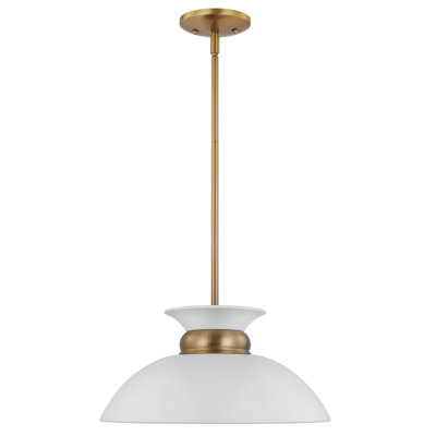 Giles 1-Light Dimmable Metal Dome Pendant with Adjustable Height